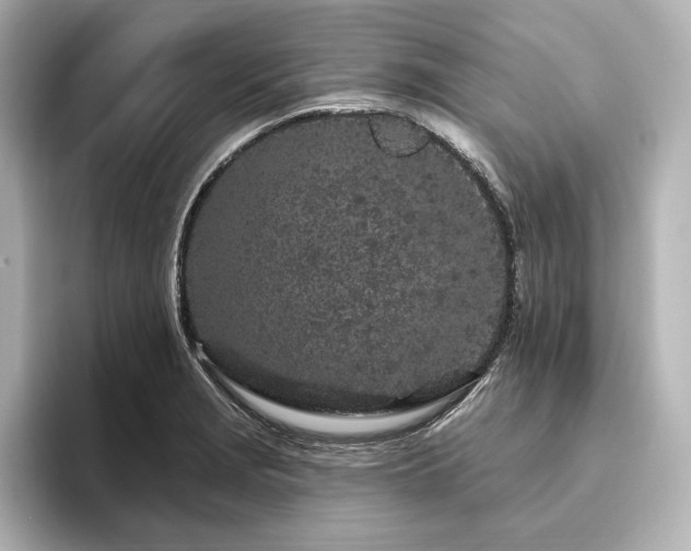X0000096491229200801241458