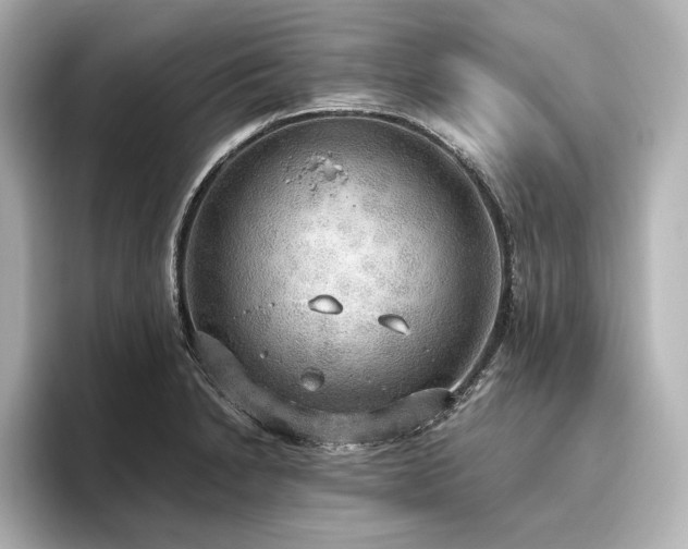 X0000096491230200801241458