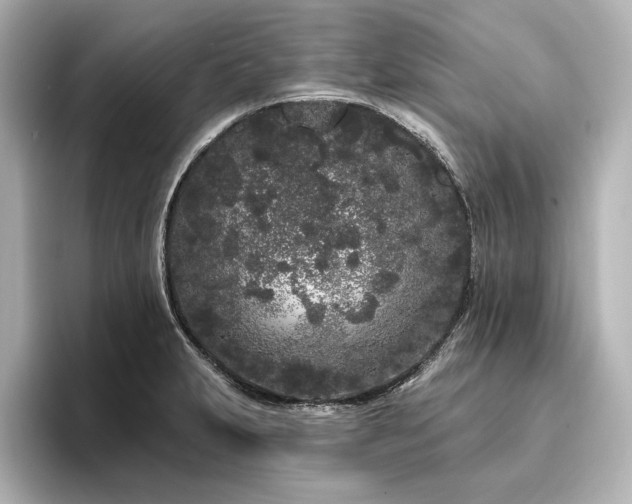 X0000096491231200801241458