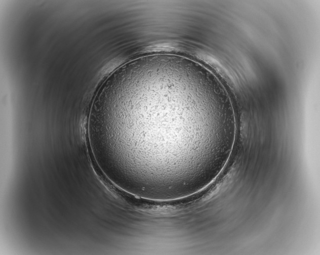X0000096491233200801241458