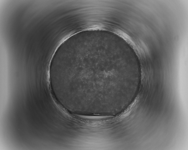 X0000096491234200801241458