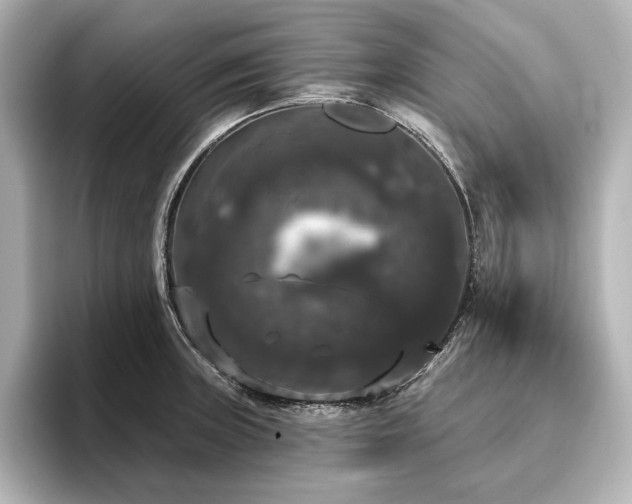 X0000096491235200801241458