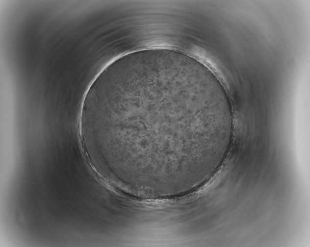 X0000096491236200801241458