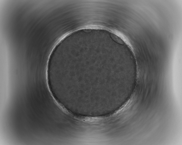 X0000096491237200801241458
