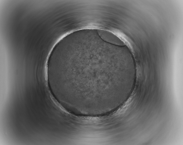 X0000096491238200801241458