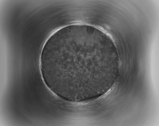 X0000096491239200801241458