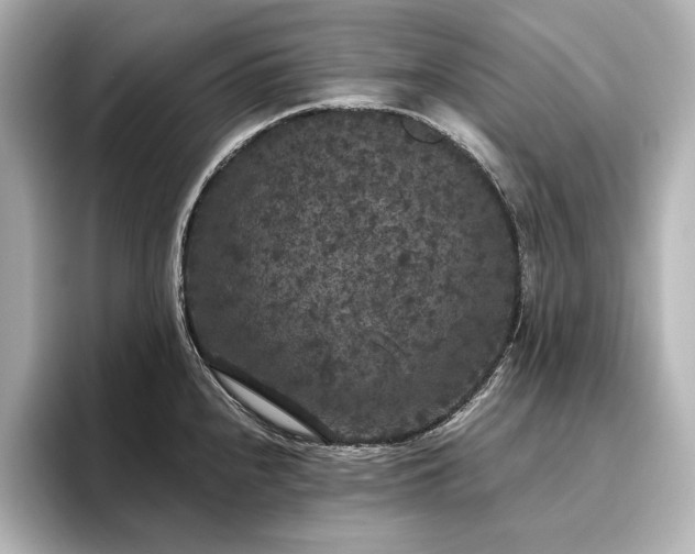 X0000096491240200801241458
