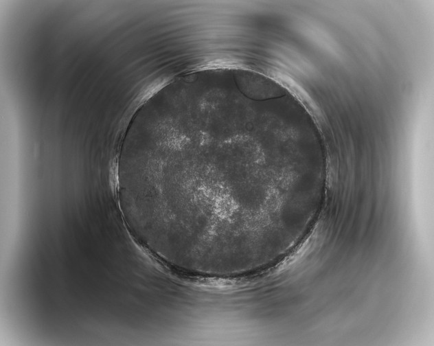 X0000096491241200801241458
