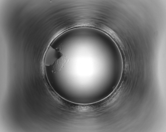 X0000096491242200801241458