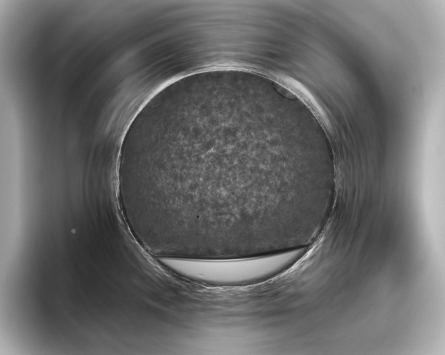 X0000096491244200801241458