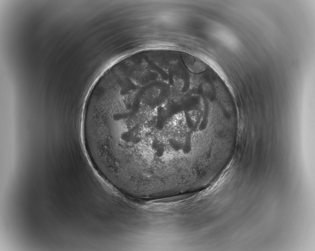 X0000096491245200801241458