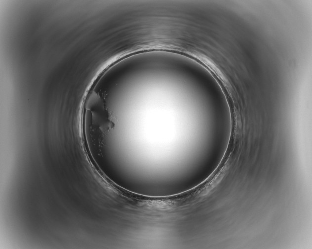 X0000096491246200801241458
