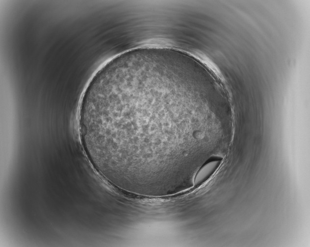 X0000096491248200801241458