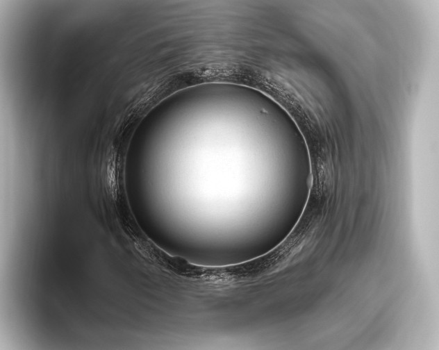 X0000096491250200801241457