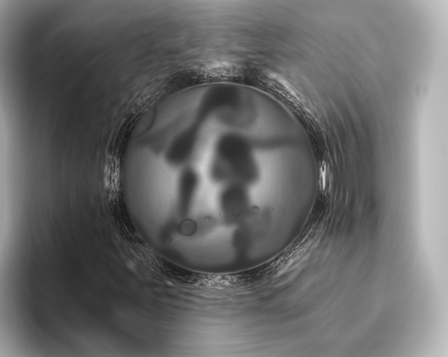 X0000096491251200801241457