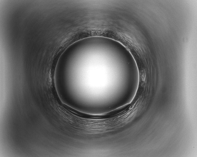 X0000096491252200801241457