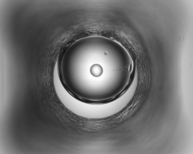 X0000096491253200801241457