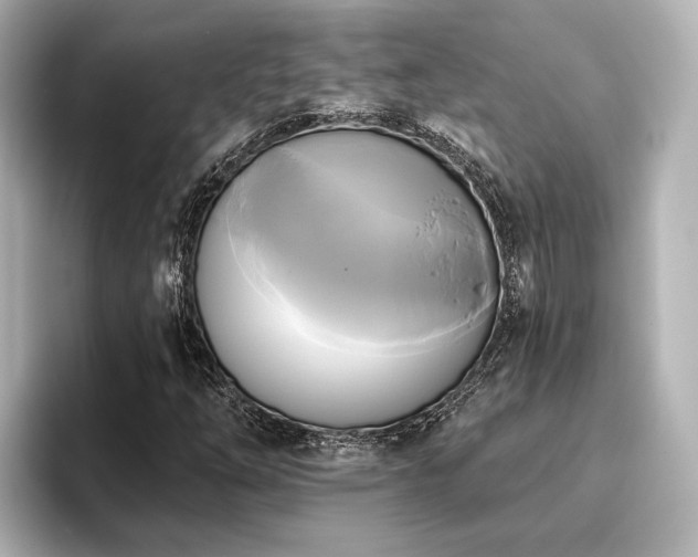 X0000096491254200801241457