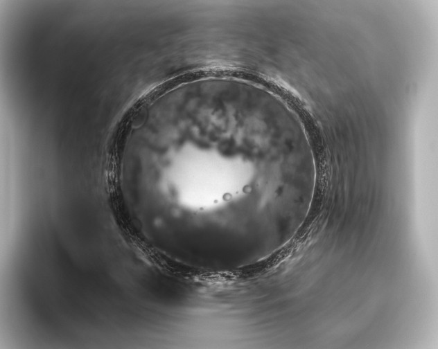 X0000096491255200801241457