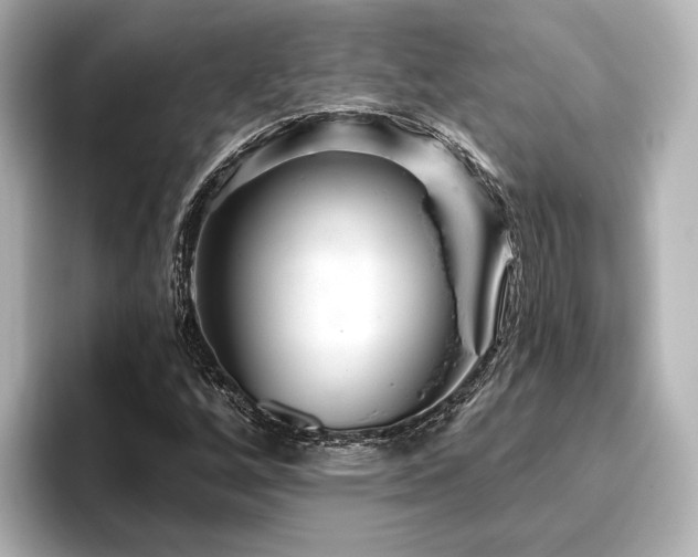 X0000096491256200801241457
