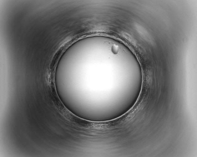 X0000096491258200801241457