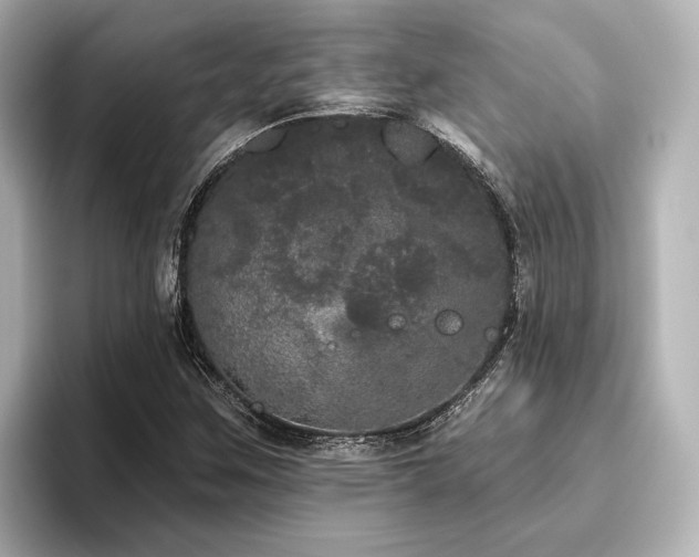 X0000096491259200801241457