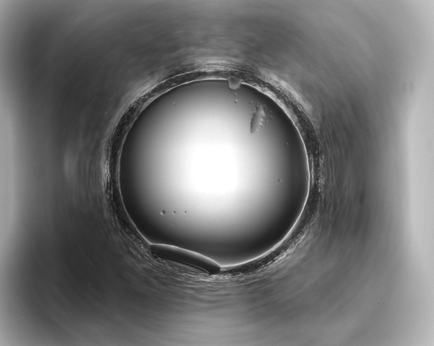 X0000096491261200801241457
