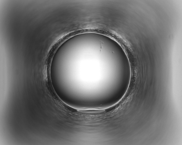 X0000096491262200801241457