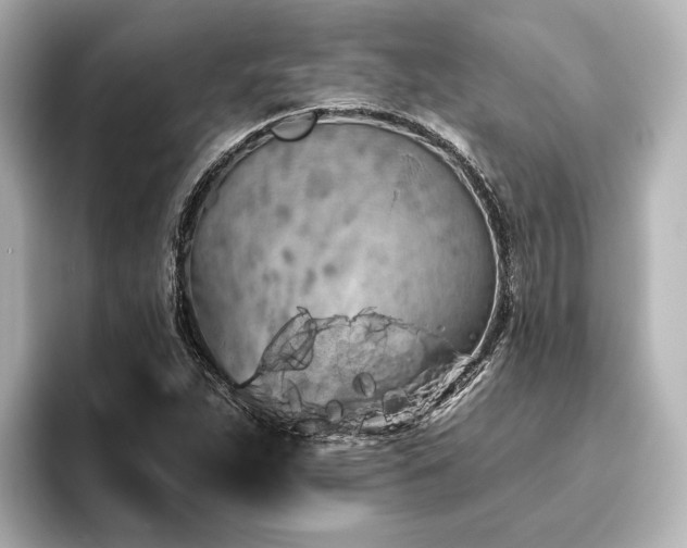 X0000096491263200801241457