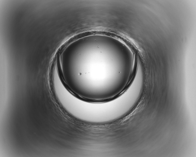 X0000096491264200801241457