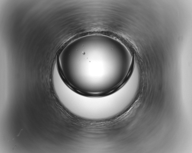 X0000096491265200801241457