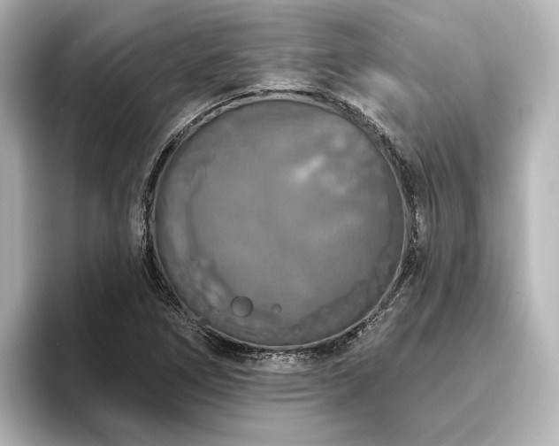 X0000096491266200801241457