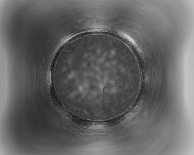 X0000096491267200801241457