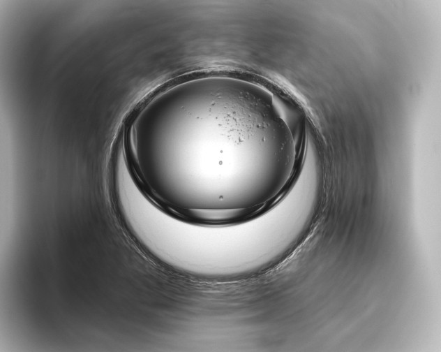X0000096491269200801241457