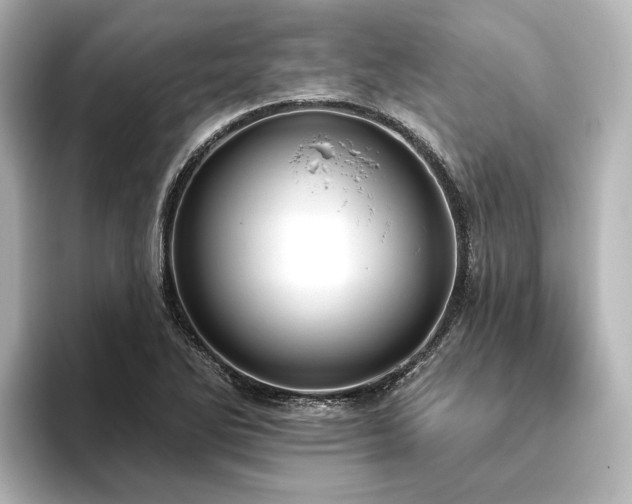 X0000096491270200801241457