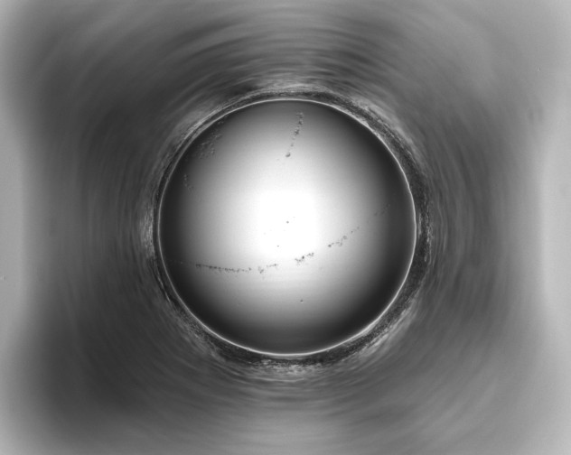 X0000096491273200801241457