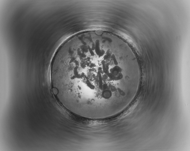 X0000096491275200801241457