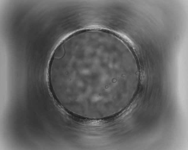 X0000096491279200801241457