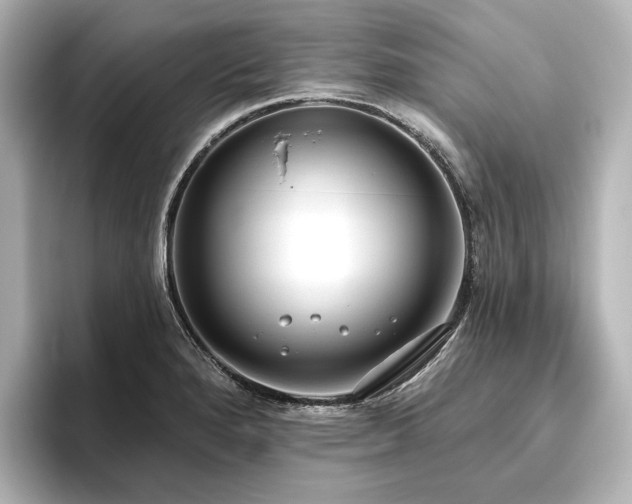 X0000096491280200801241457