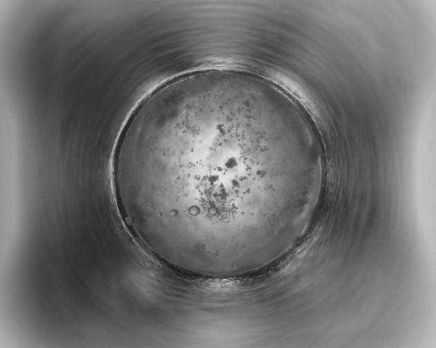 X0000096491283200801241457