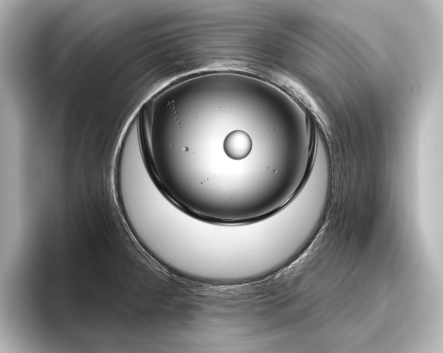 X0000096491284200801241457