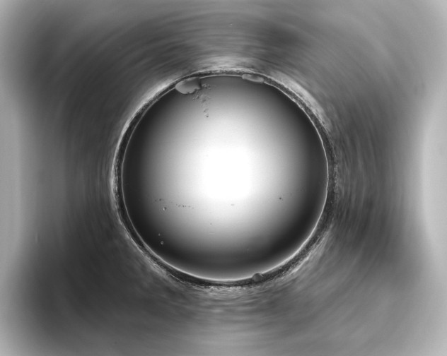 X0000096491285200801241457
