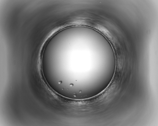 X0000096491286200801241457