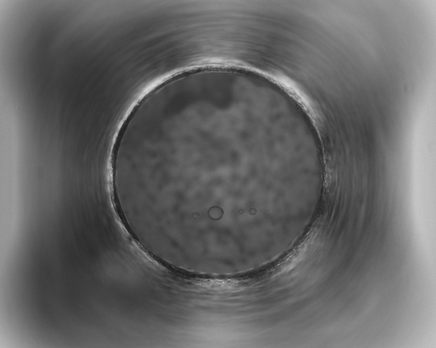 X0000096491287200801241457