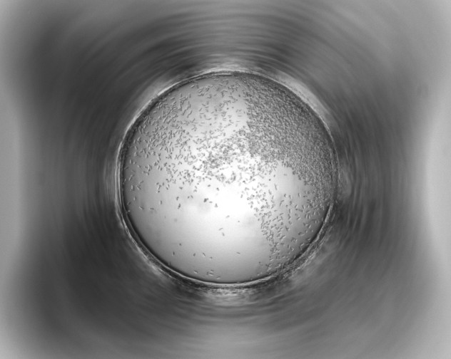 X0000096491290200801241457
