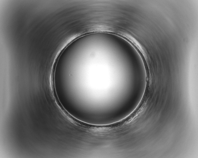X0000096491293200801241457