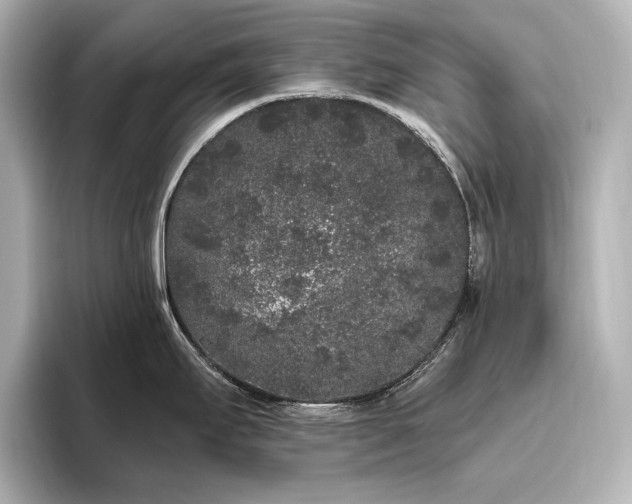 X0000096491295200801241457