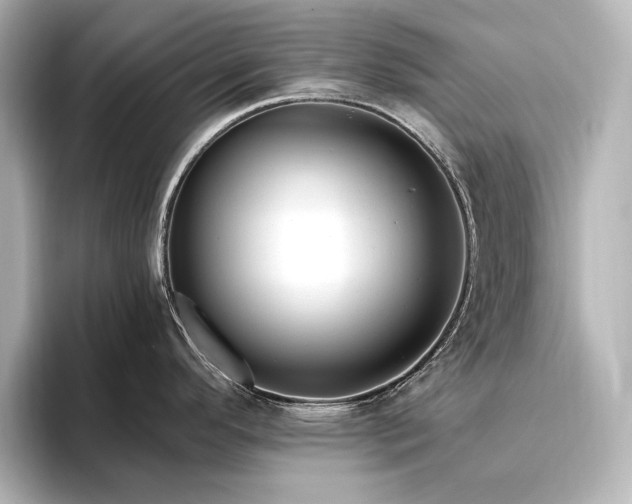 X0000096491296200801241457