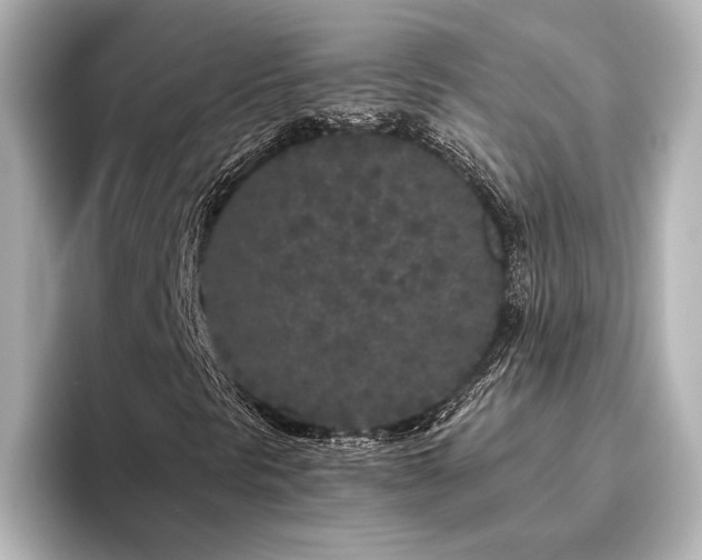 X0000096491297200801241456