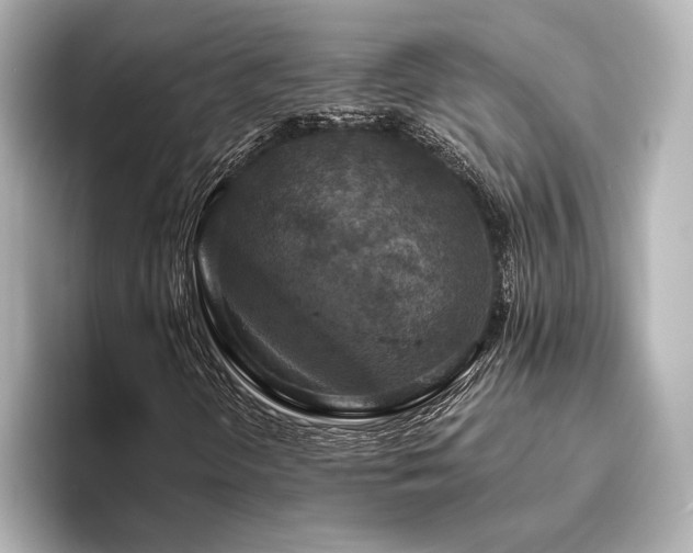 X0000096491298200801241456
